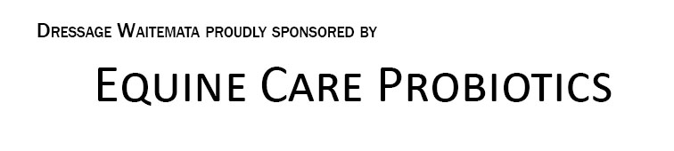 Sponsor